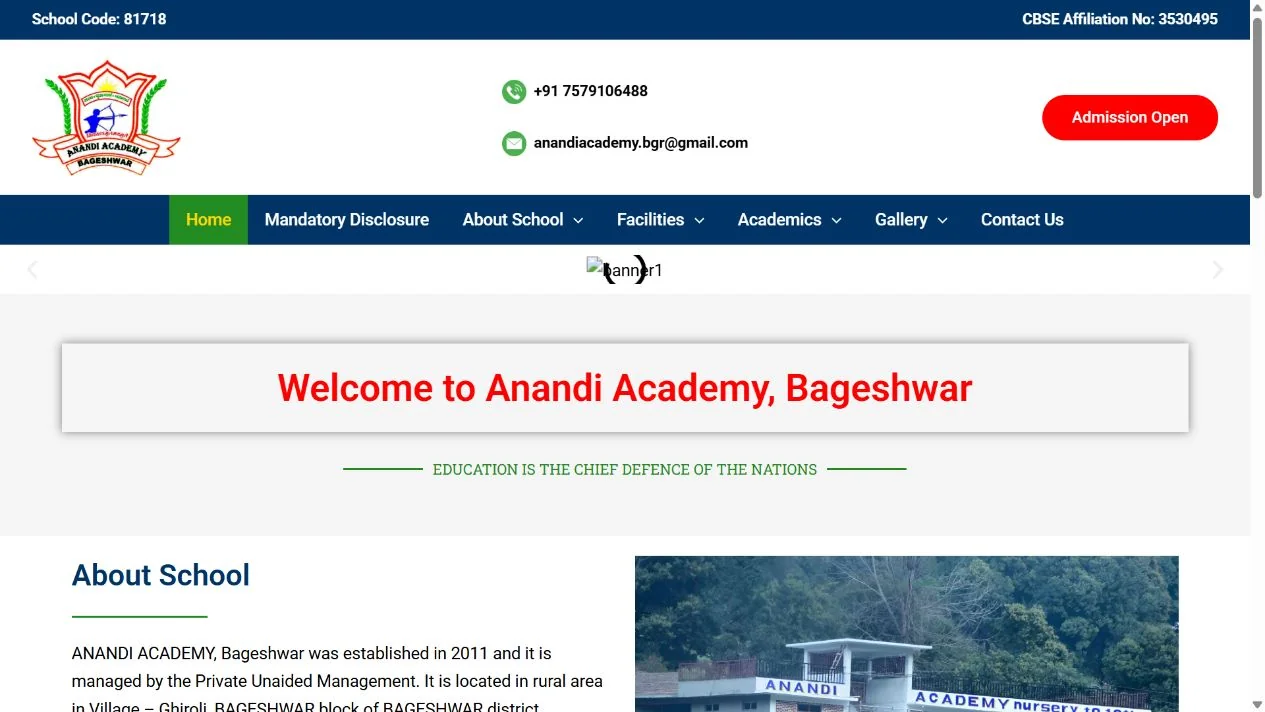 Anandi Academy website preview