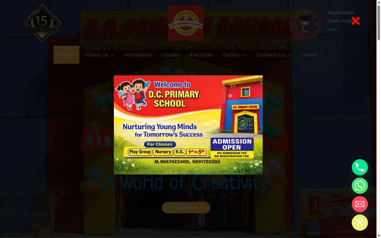 D.C. Primary School website preview